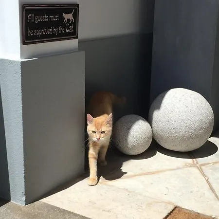 Quinta B. (adults Only) 4*