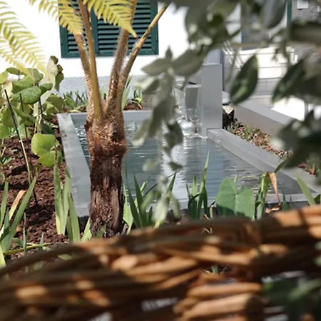 Quinta B. (adults Only) Bed & Breakfast Funchal (Madeira)