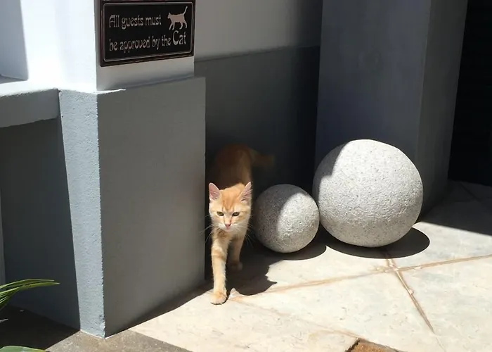 Quinta B. (adults Only) 4*