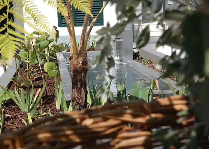 Quinta B. (adults Only) Bed and breakfast Funchal (Madeira)